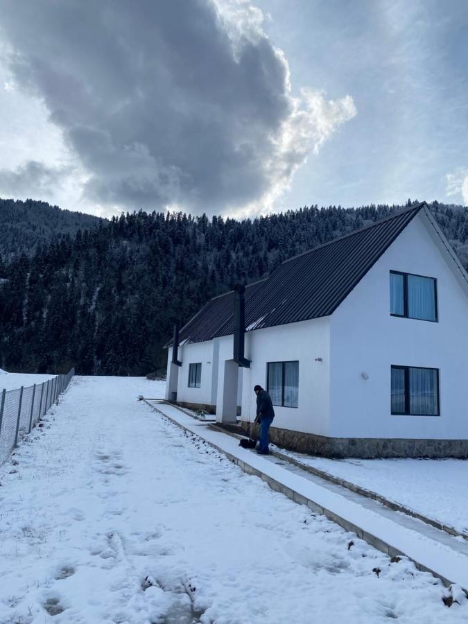 White House Near Borjomi Sadgeri Apartment Exterior photo