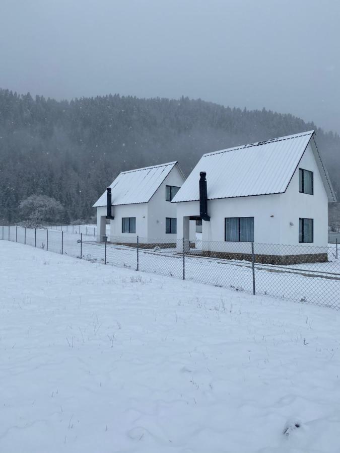 White House Near Borjomi Sadgeri Apartment Exterior photo