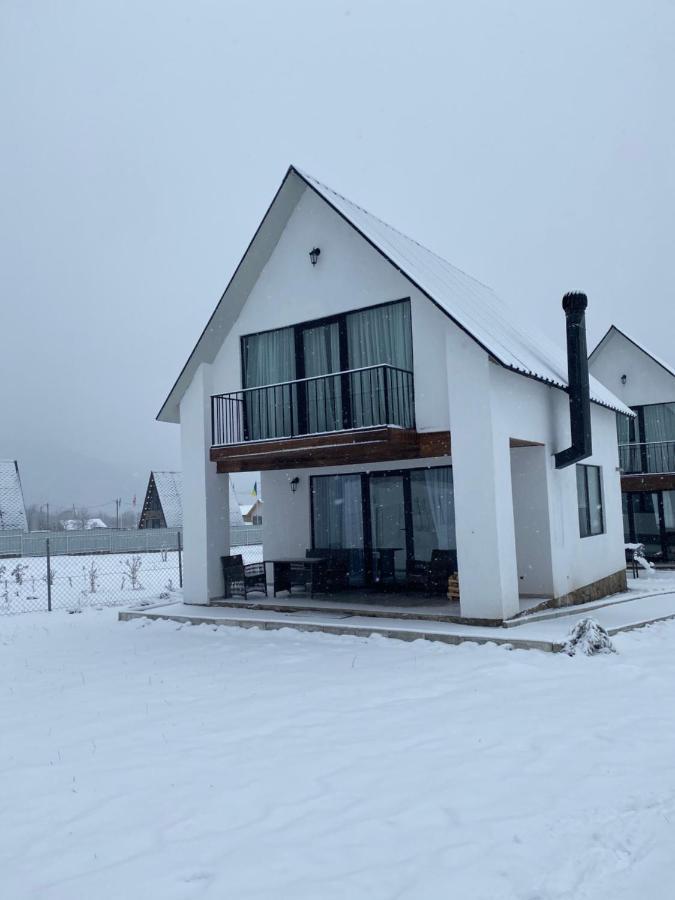 White House Near Borjomi Sadgeri Apartment Exterior photo