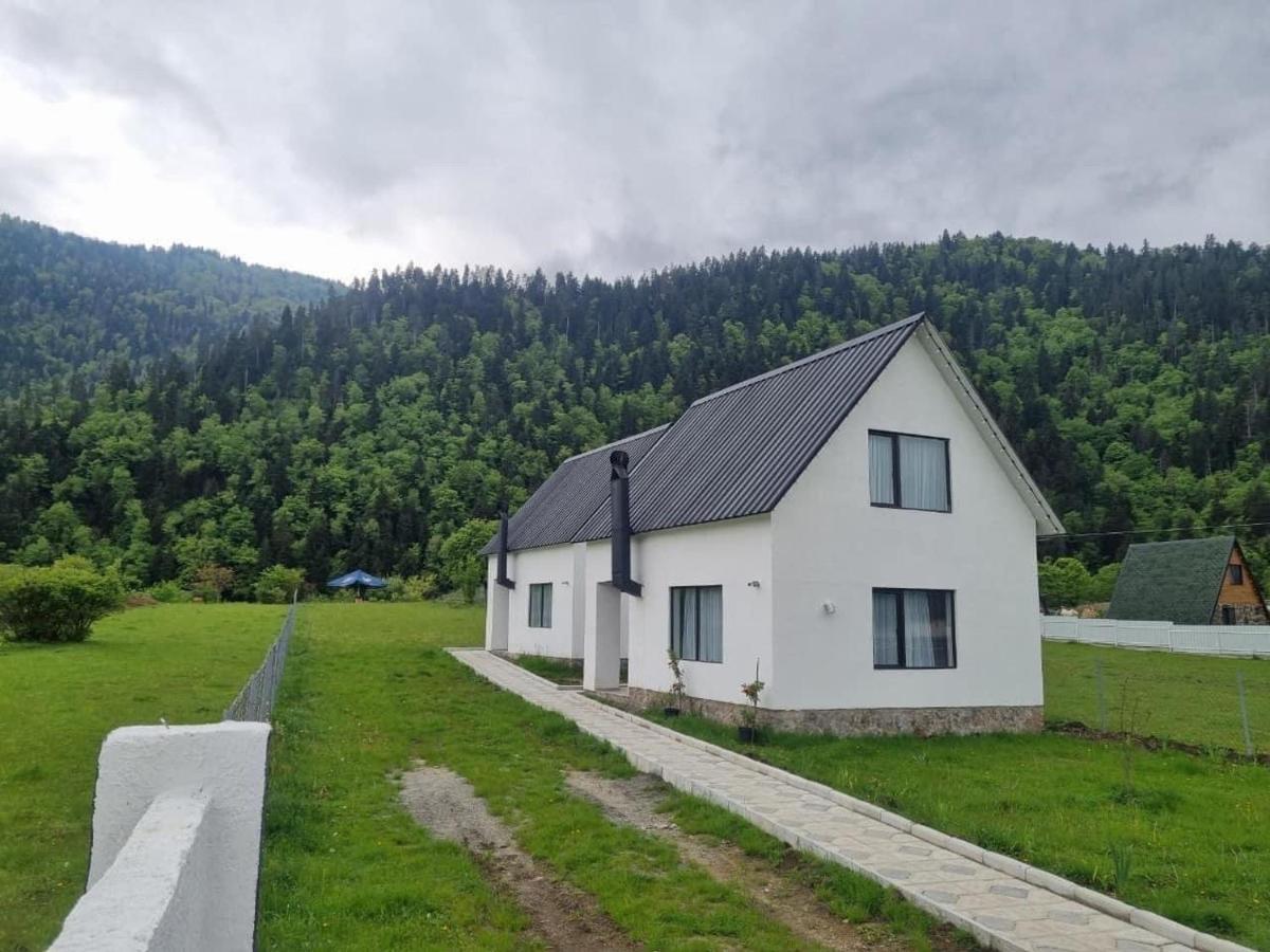 White House Near Borjomi Sadgeri Apartment Exterior photo