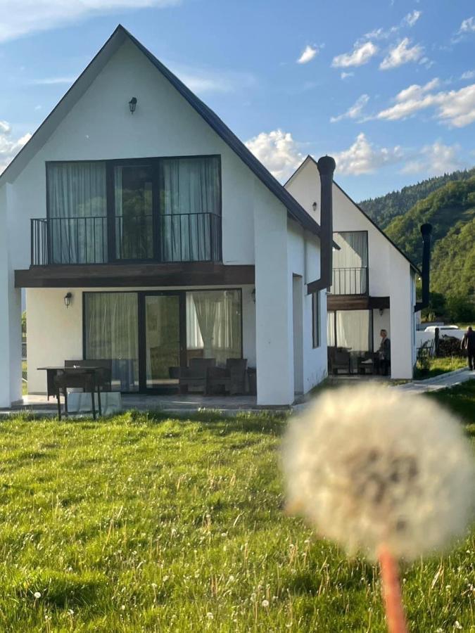 White House Near Borjomi Sadgeri Apartment Exterior photo