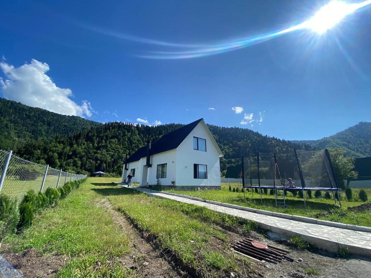White House Near Borjomi Sadgeri Apartment Exterior photo