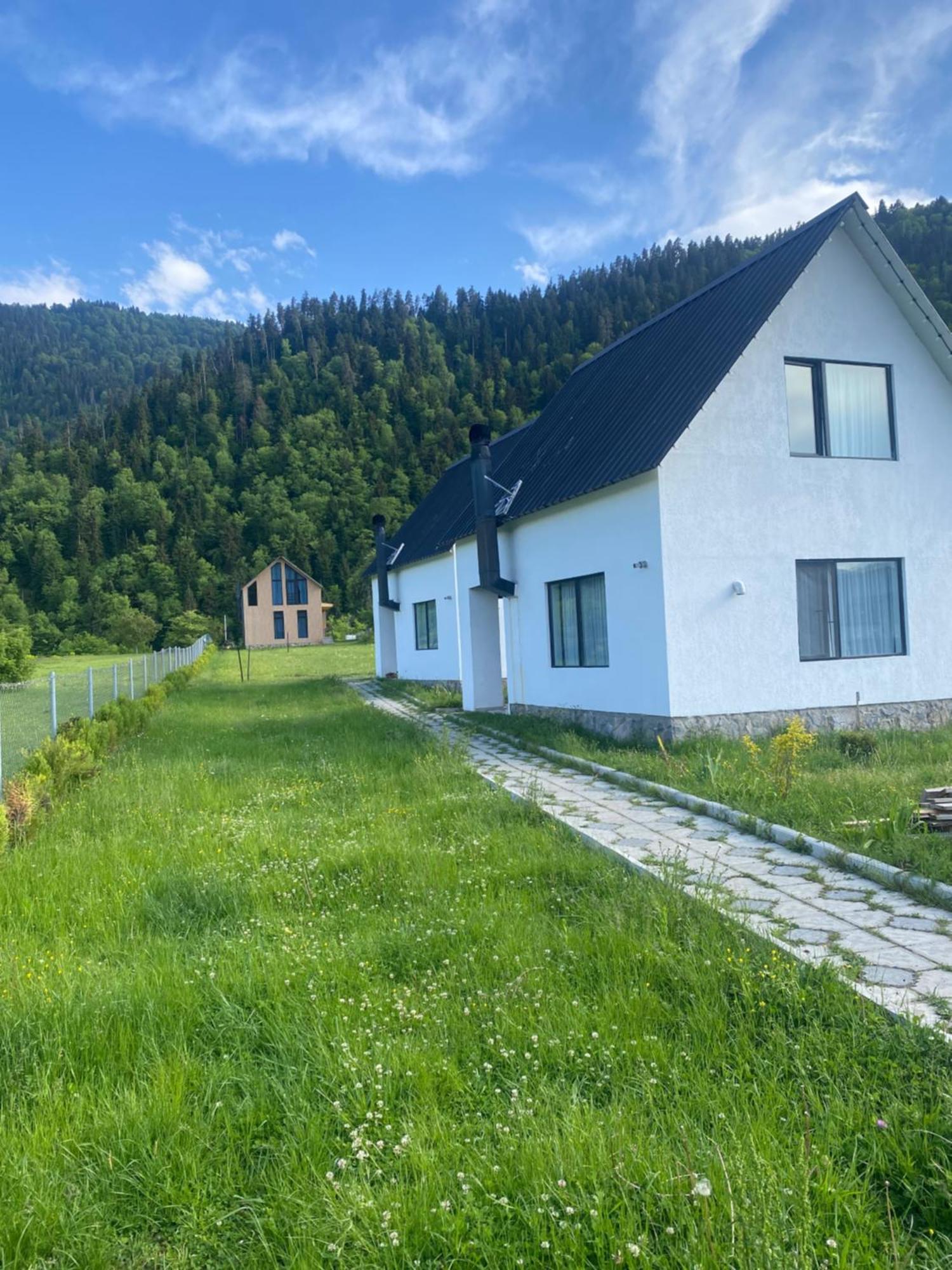 White House Near Borjomi Sadgeri Apartment Exterior photo
